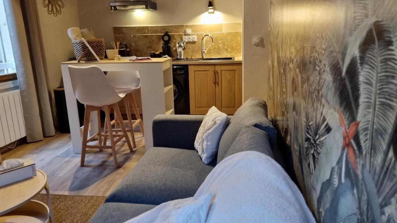 Apartment Avec Beaucoup De Charme Intra Muros Avignon